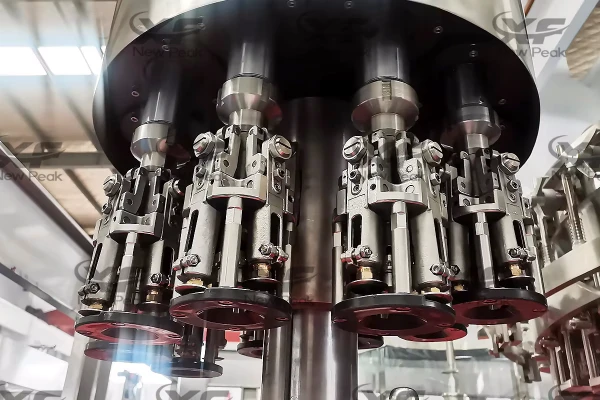 beer filling machine (3)